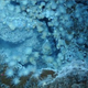 Illustration for article titled The First Pictures of Life in the Deepest Ocean Vents Ever Discovered